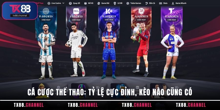 Cá cược thể thao: Tỷ lệ cực đỉnh, kèo nào cũng có