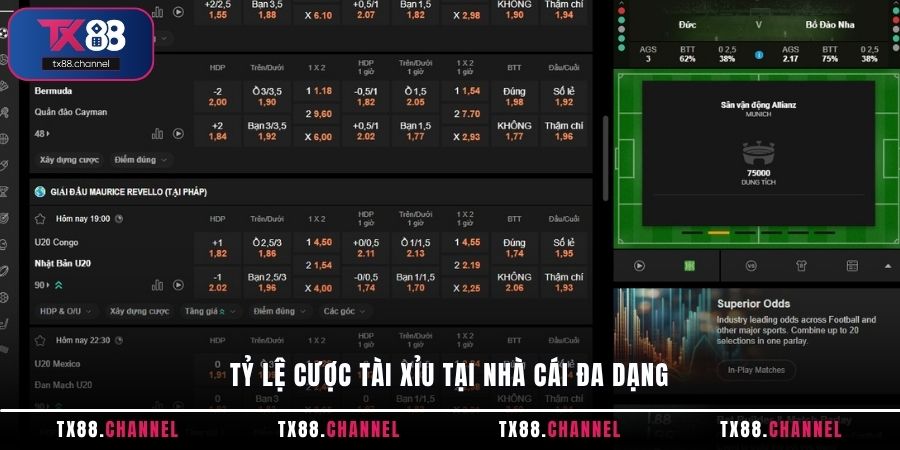 Tỷ lệ cược Tài Xỉu tại nhà cái đa dạng